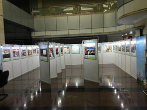 深圳展板出租規格及專業展覽服務指南
